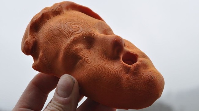 A 3D scan of a face used to make a climbing hold.