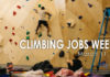 routesetters in a climbing gym