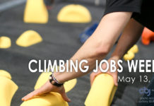 routesetter choosing climbing holds