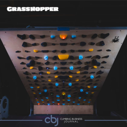 Grasshopper climbing holds