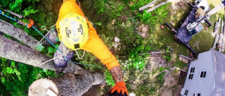 Sterling Rope Acquired by Arborist Company