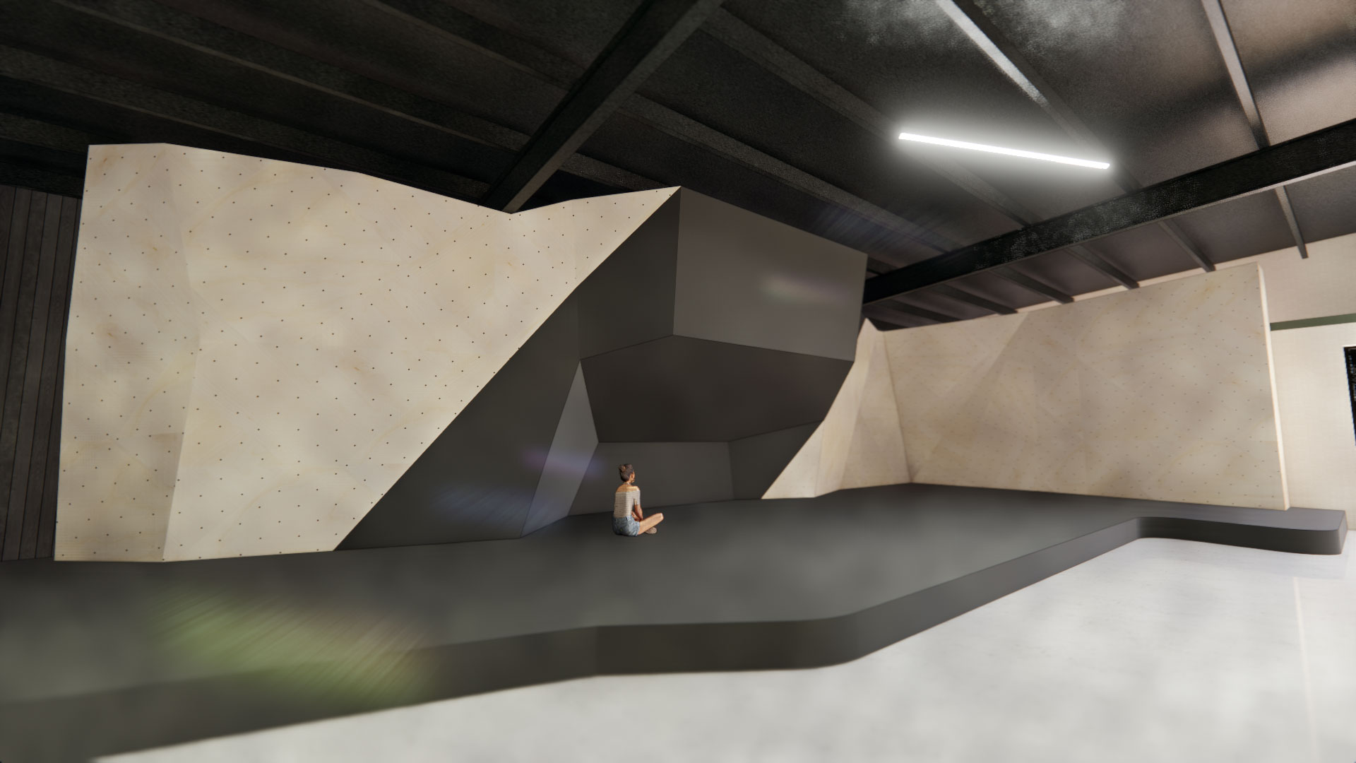 Rendering of the climbing walls