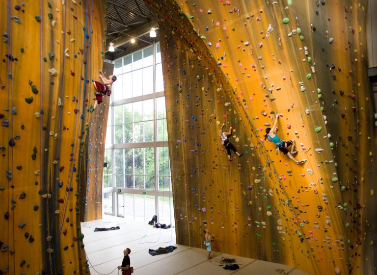 Walltopia Stories: Their First Climbing Gym in the USA