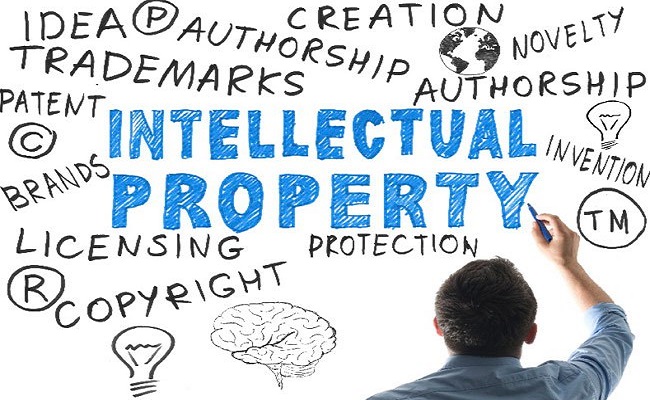 Navigating Intellectual Property Law